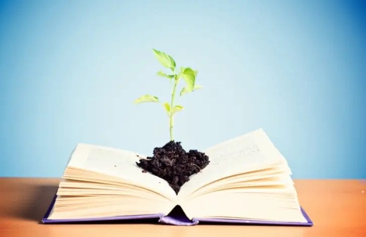 Claves para potenciar tu mentalidad y lograr todo lo que deseas